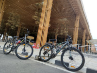 Green And Black Bicycle Hercules