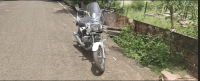 Moon White Bajaj Avenger Cruise 220 BS6