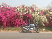 Royal Enfield Continental GT 650 Twin 2022 Model