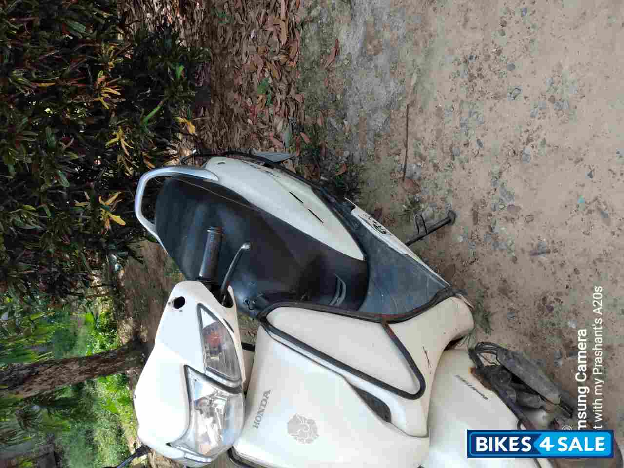Pearl Sunbeam White Honda Activa