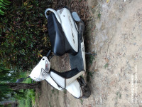 Pearl Sunbeam White Honda Activa