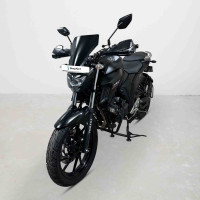 Yamaha FZ25