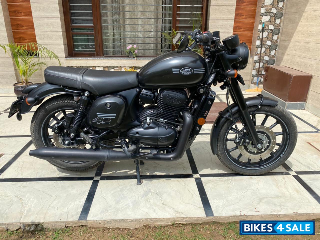 Black Jawa forty two