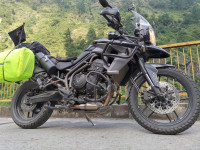 Black Triumph Tiger 800 XRx