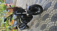 Bajaj Dominar 250 2020 Model