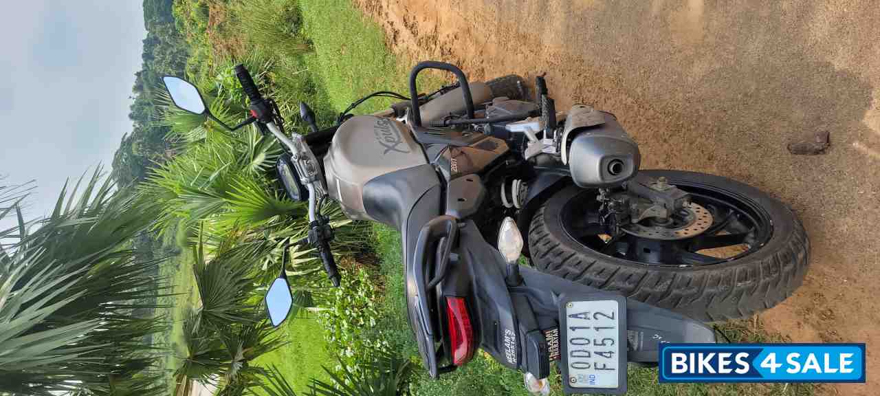 Matte Shield Gold Hero XPulse 200T