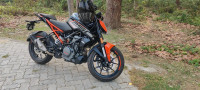 KTM Duke 250 2024 2023 Model