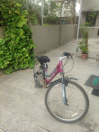 Bicycle Firefox 2018 Model