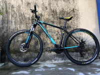 Bicycle  Polygon cascade 4 2020 Model