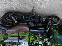 Harley Davidson Street 750 2019 Model