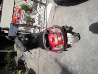 Red Honda Activa