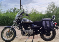 Auburn Brown Bajaj Avenger Cruise 220 BS6