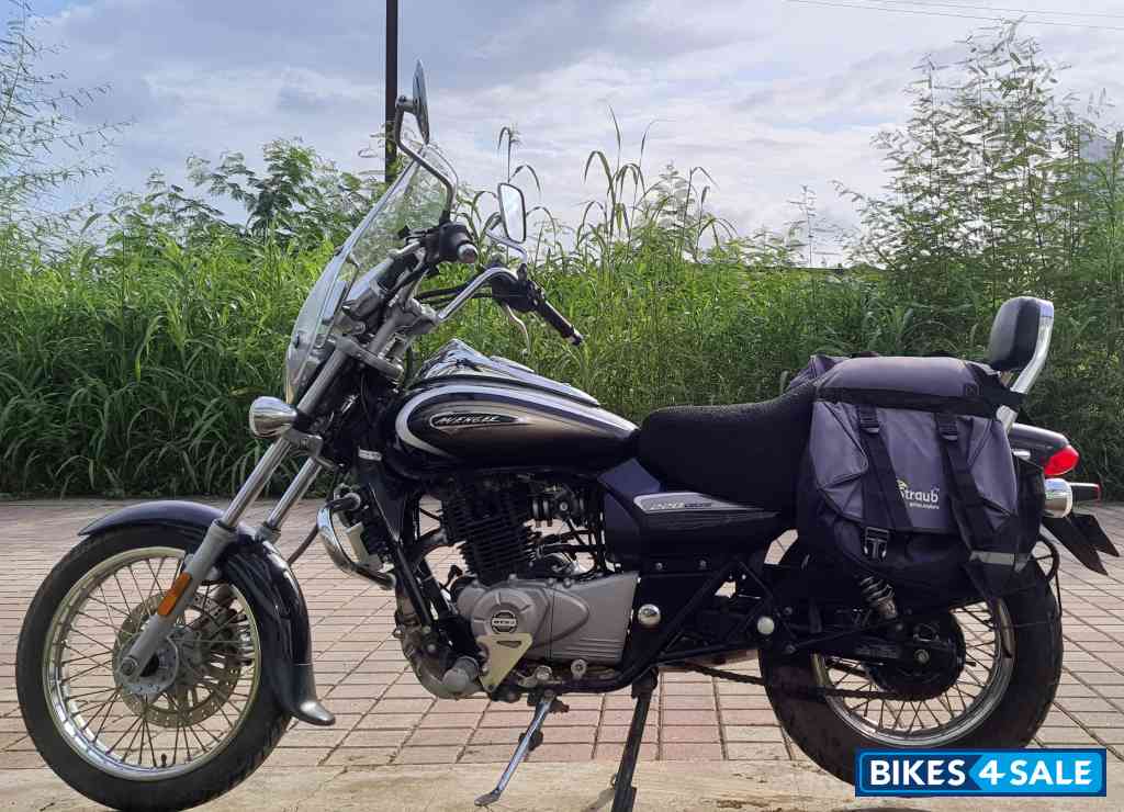 Auburn Brown Bajaj Avenger Cruise 220 BS6