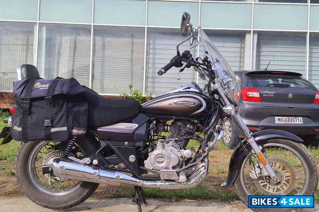 Auburn Brown Bajaj Avenger Cruise 220 BS6