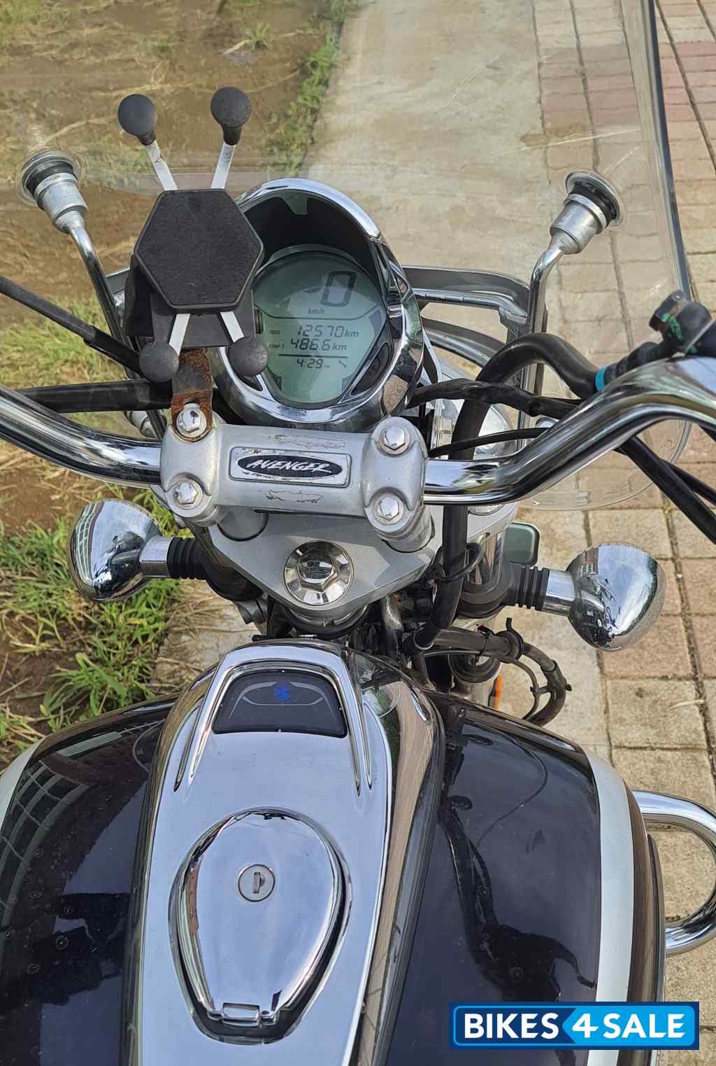 Auburn Brown Bajaj Avenger Cruise 220 BS6