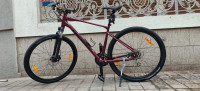 Bicycle Giant 2021 Model