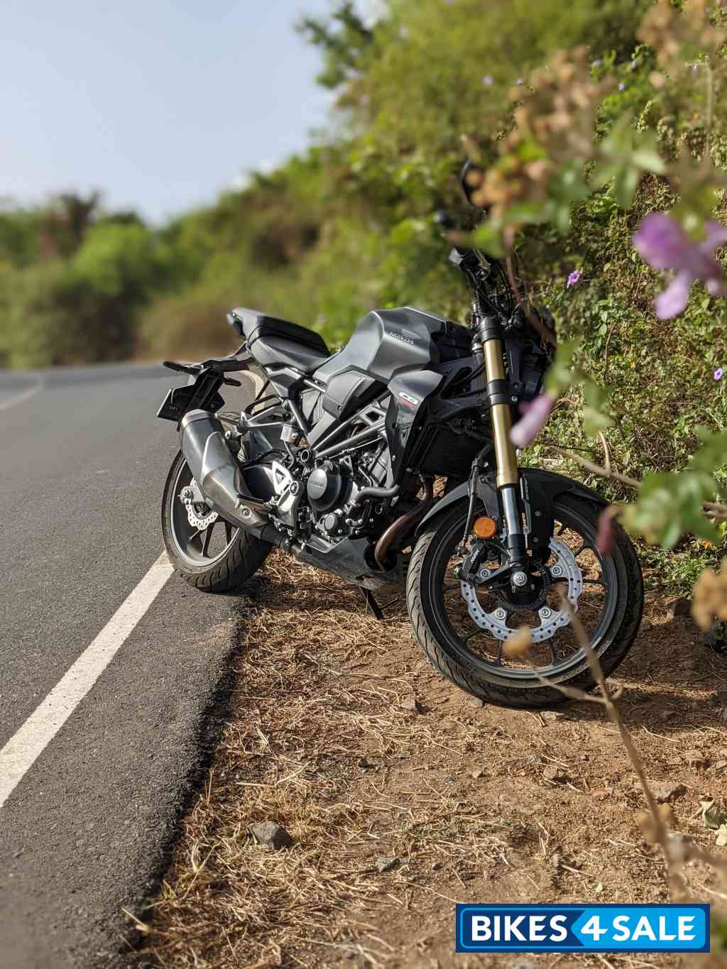 Matte Black Honda CB300R