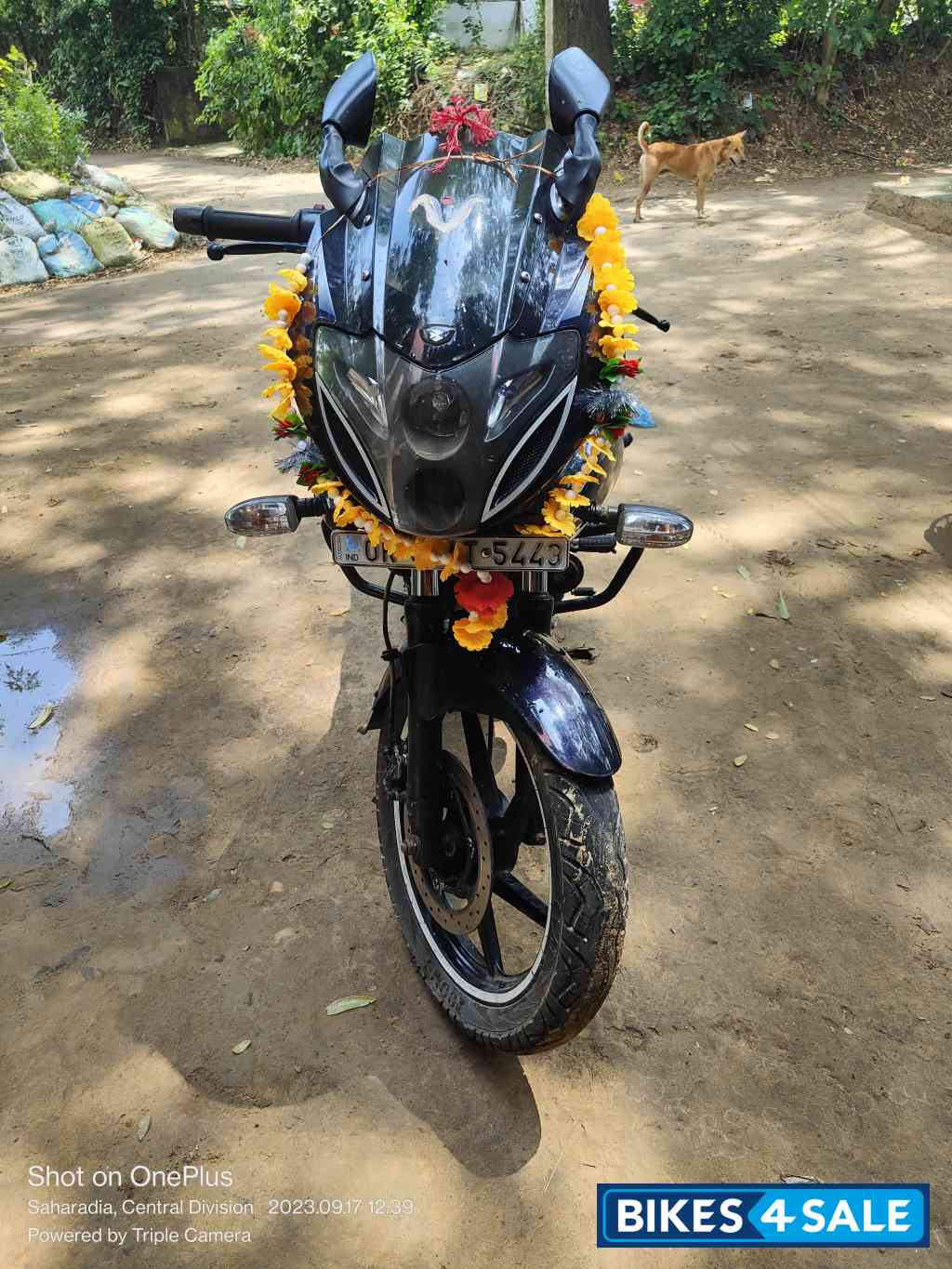 Bajaj Pulsar 220F