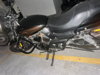 Harley Davidson Street 750