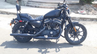 Black Harley Davidson Iron 883