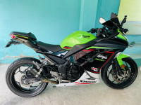 Candy Lime Green Kawasaki Ninja 300 BS6