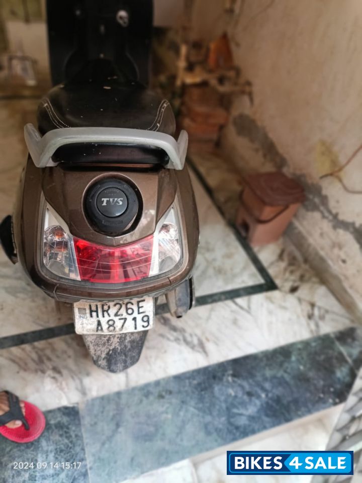 Walnut Brown TVS Jupiter
