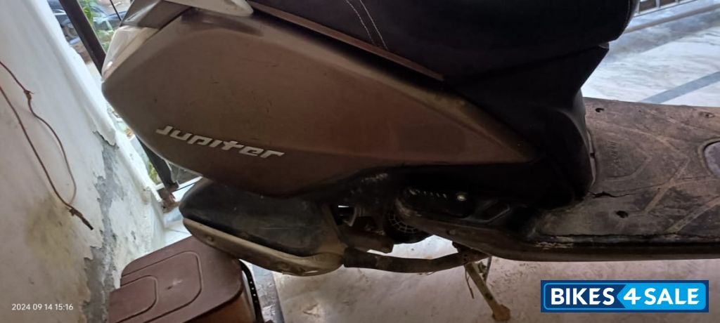 Walnut Brown TVS Jupiter