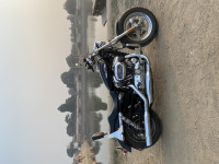 Harley Davidson 1200 Custom