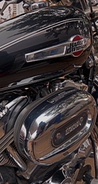 Harley Davidson 1200 Custom