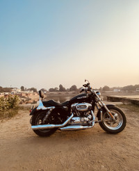 Harley Davidson 1200 Custom