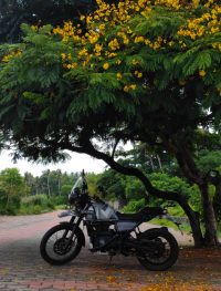 Royal Enfield Himalayan