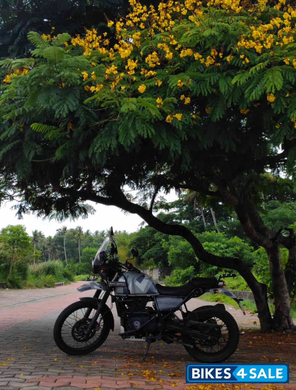 Royal Enfield Himalayan