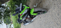 Lime Green Kawasaki Ninja 300 BS6 2022