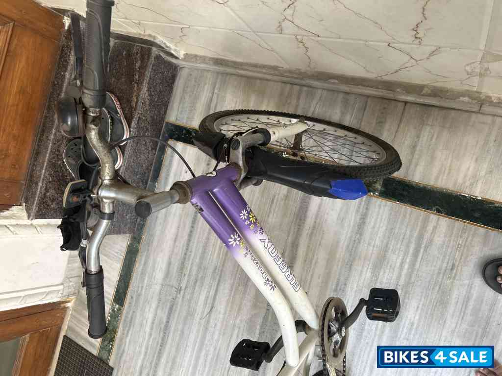 Bicycle Firefox Bicycle Firefox