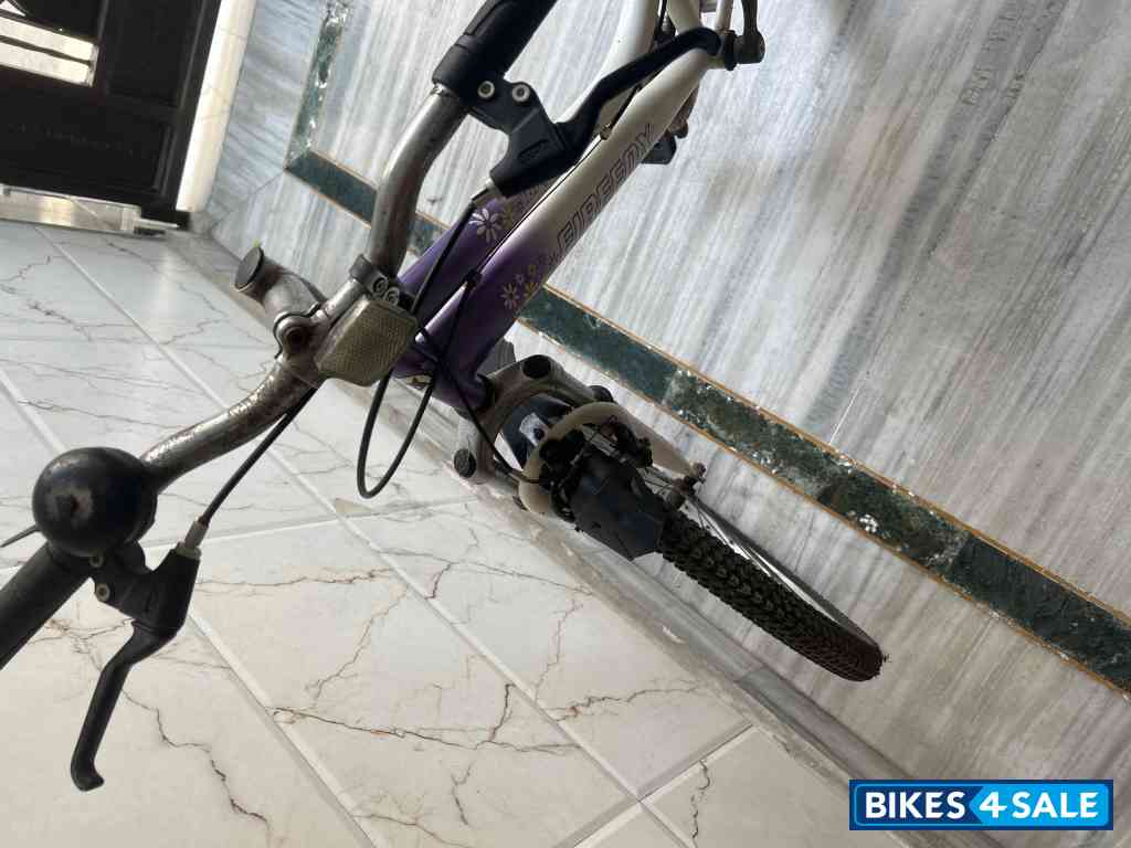 Bicycle Firefox Bicycle Firefox