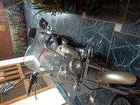 Golden Bajaj Avenger Cruise 220