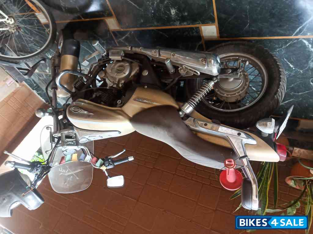 Golden Bajaj Avenger Cruise 220