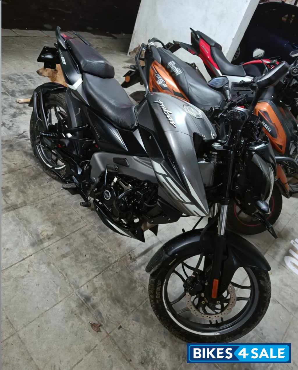 Bajaj Pulsar NS 125