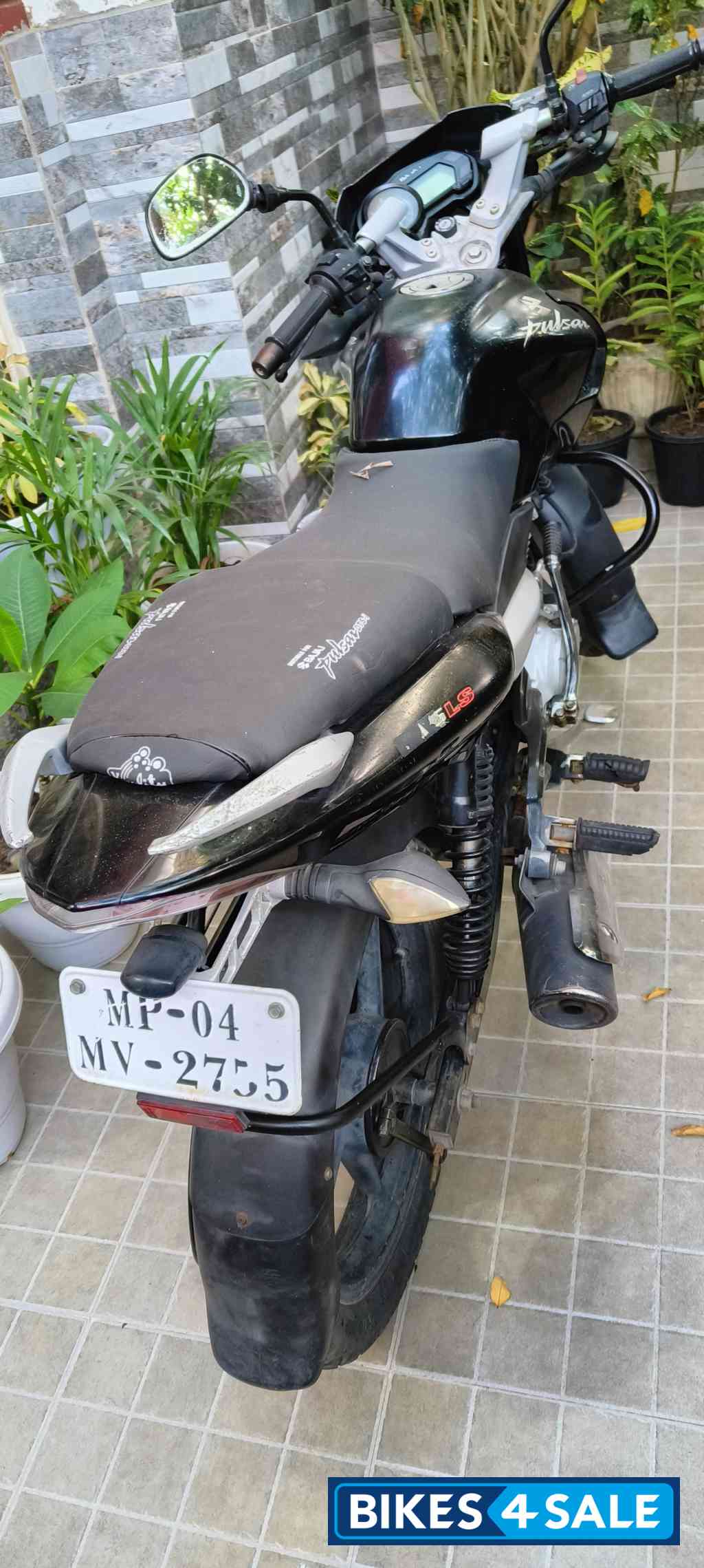 Black Bajaj Pulsar 135LS Black Bajaj Pulsar 135LS