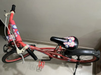 Bicycle Firefox  Model