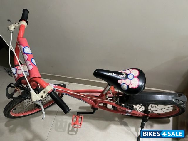 Shade Of Pinko Be Bicycle Firefox