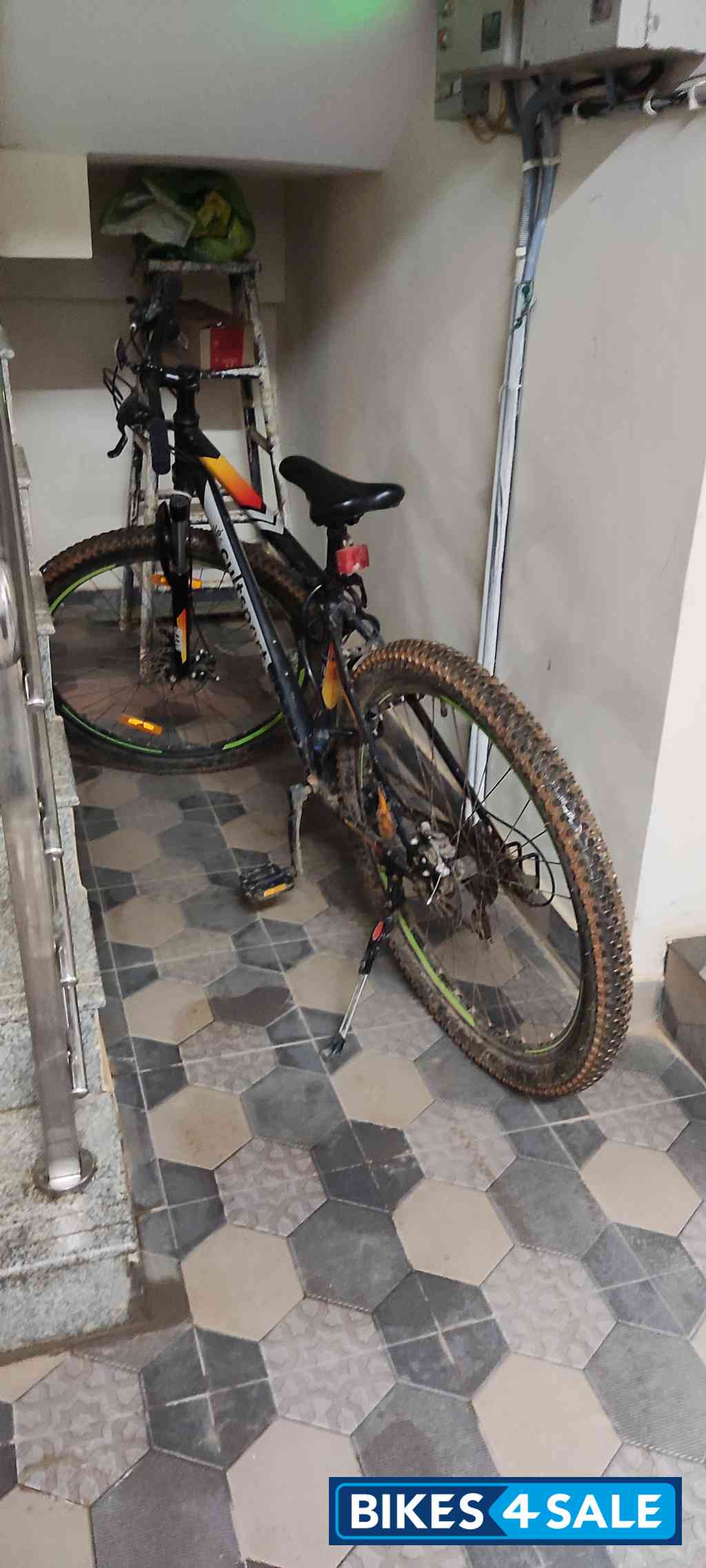 Bicycle CultSport Hemis Bicycle CultSport Hemis