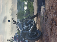 Matt Iron Stone Triumph Street Twin