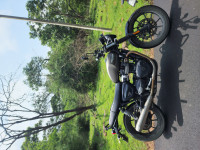 Matt Iron Stone Triumph Street Twin