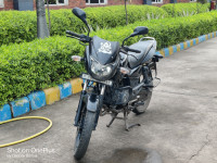 Bajaj Pulsar 150 Neon 2019 Model