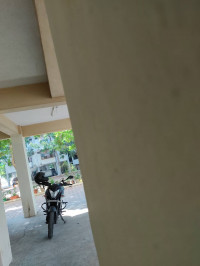 Bajaj Pulsar NS125 2022