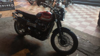 Triumph Street Scrambler