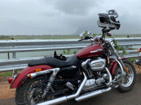 Harley Davidson 1200 Custom 2017 Model