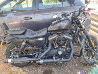 Harley Davidson Iron 883