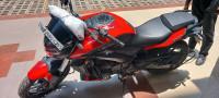 Red And Black Bajaj Dominar 250